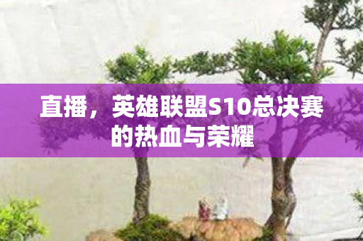 英雄联盟S10总决赛的热血与荣耀图片