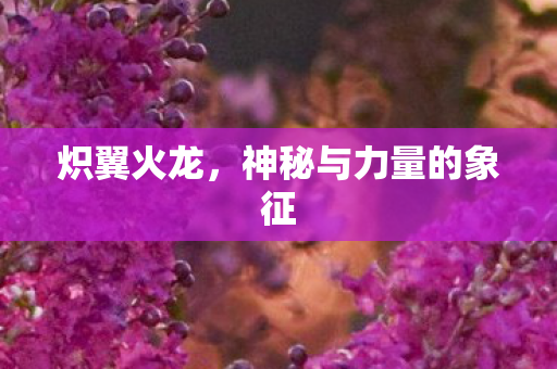 神秘与力量的象征图片