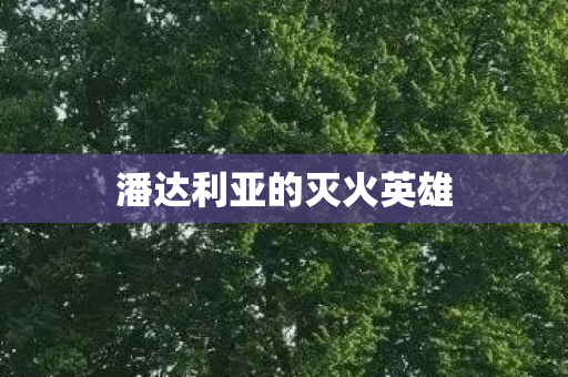潘达利亚的灭火英雄图片