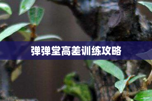 弹弹堂高差训练攻略图片