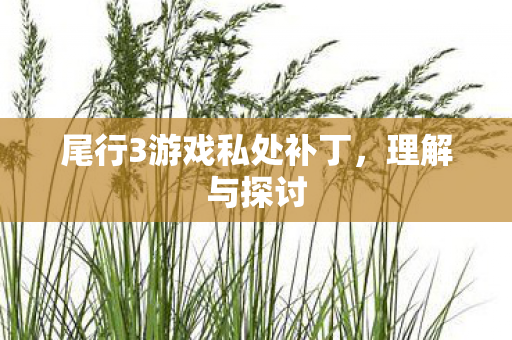 尾行3游戏私处补丁图片