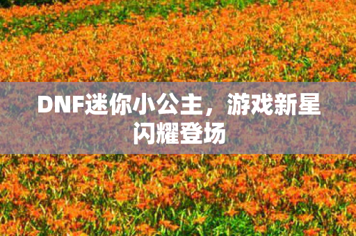 DNF迷你小公主图片