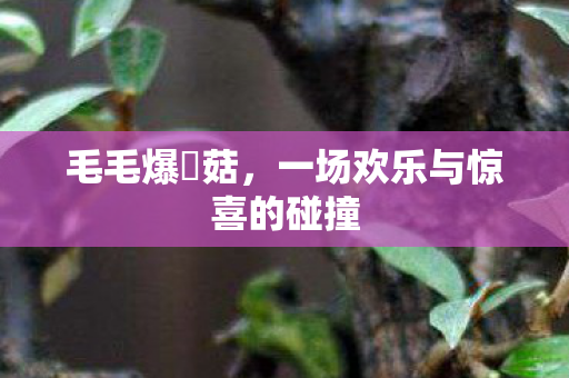 一场欢乐与惊喜的碰撞图片