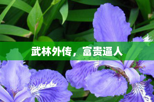 武林外传图片