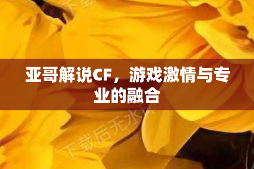 游戏激情与专业的融合图片