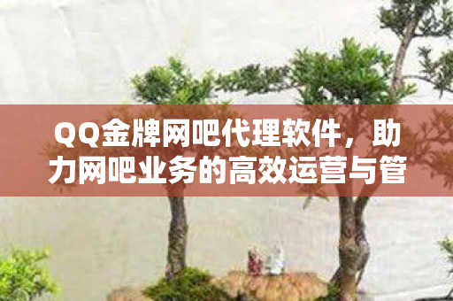 助力网吧业务的高效运营与管理图片
