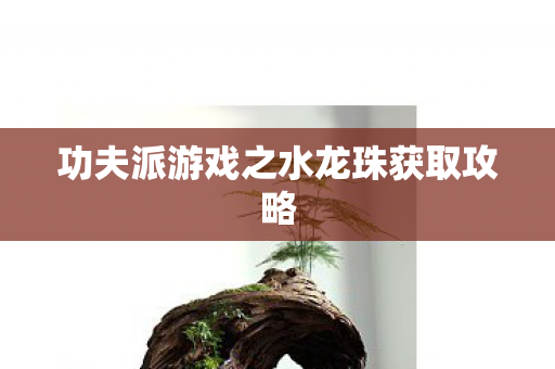 功夫派游戏之水龙珠获取攻略图片