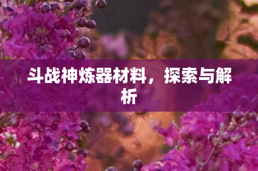 斗战神炼器材料图片