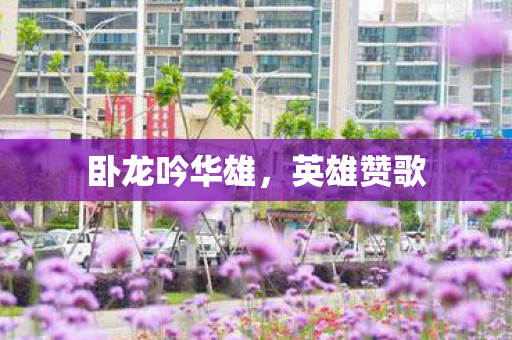 卧龙吟华雄图片