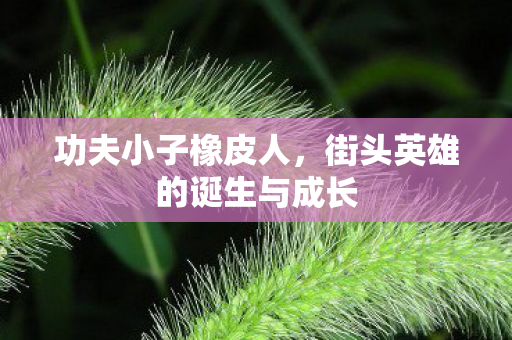 街头英雄的诞生与成长图片