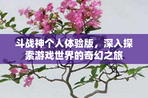 深入探索游戏世界的奇幻之旅图片