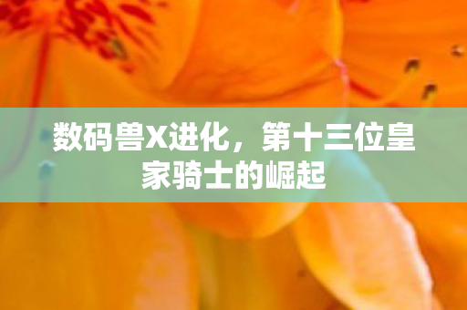 第十三位皇家骑士的崛起图片
