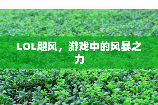 游戏中的风暴之力图片