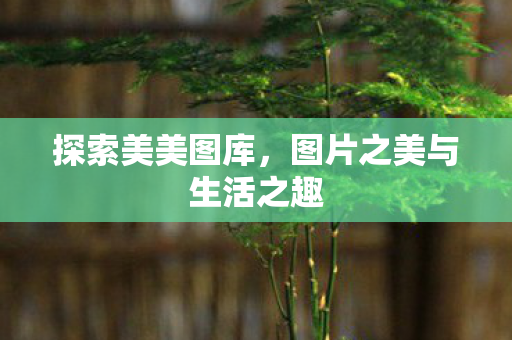 图片之美与生活之趣图片