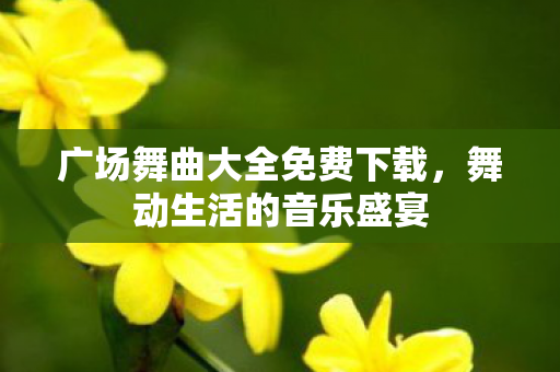 广场舞曲大全免费下载图片