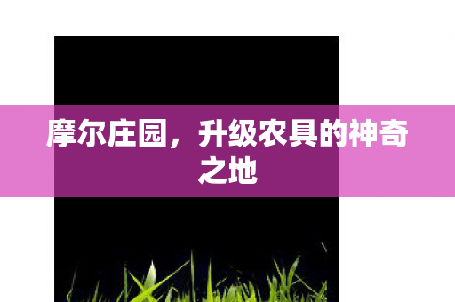 升级农具的神奇之地图片