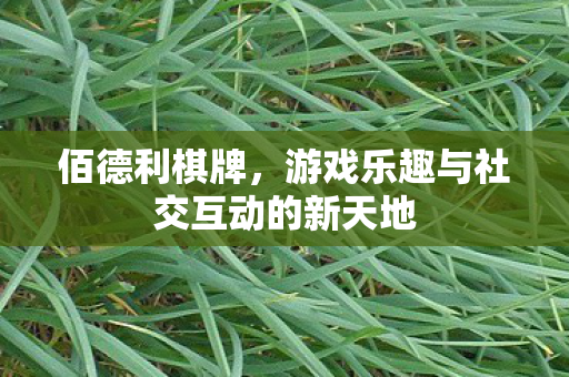游戏乐趣与社交互动的新天地图片