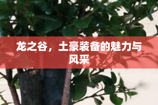 土豪装备的魅力与风采图片