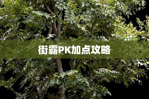 街霸PK加点攻略图片