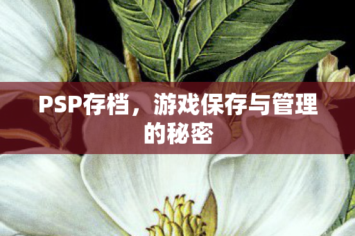 游戏保存与管理的秘密图片
