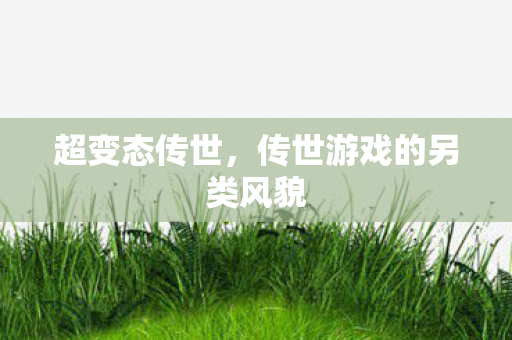 传世游戏的另类风貌图片
