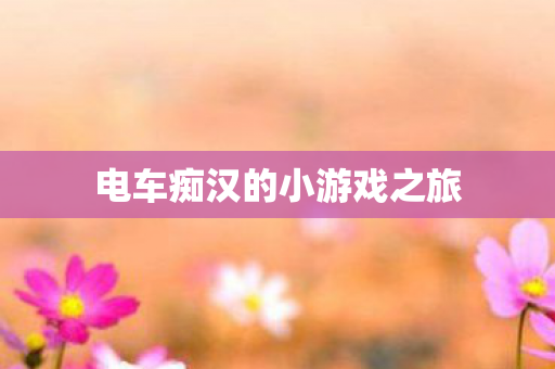 电车痴汉的小游戏之旅图片