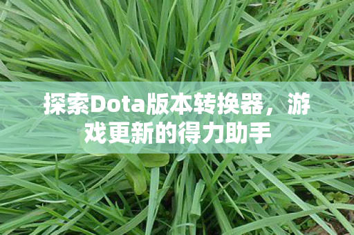 探索Dota版本转换器图片