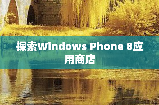 探索Windows Phone 8应用商店图片