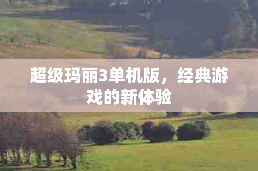 超级玛丽3单机版图片