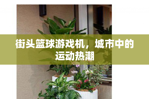 城市中的运动热潮图片