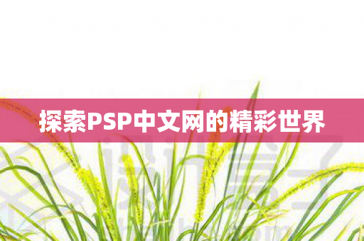 探索PSP中文网的精彩世界图片