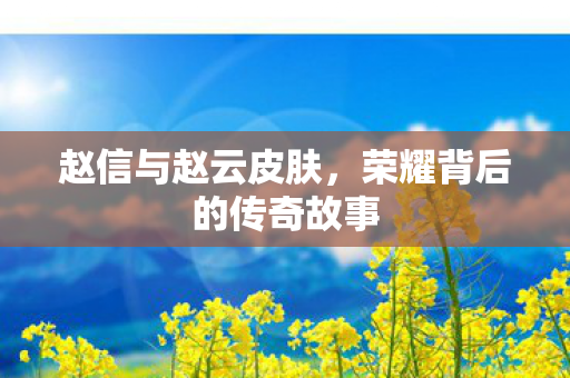 荣耀背后的传奇故事图片