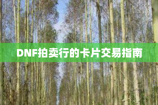 DNF拍卖行的卡片交易指南图片