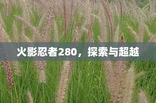 火影忍者280图片