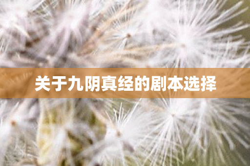 关于九阴真经的剧本选择图片