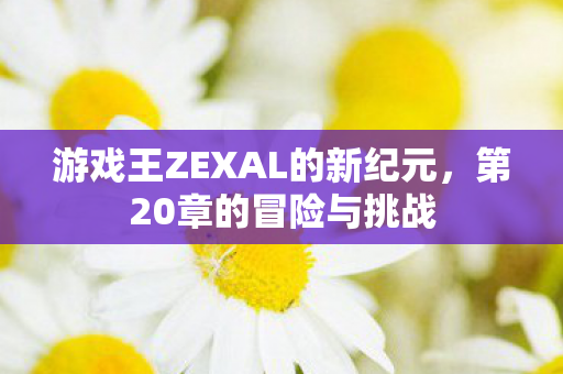 游戏王ZEXAL的新纪元图片