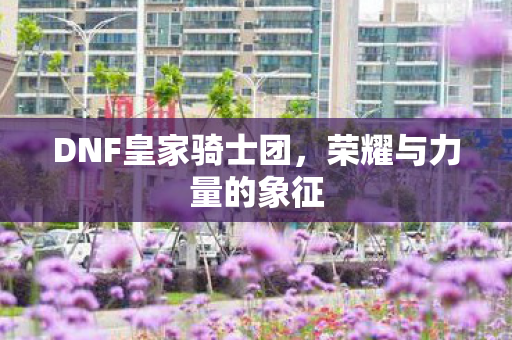 DNF皇家骑士团图片