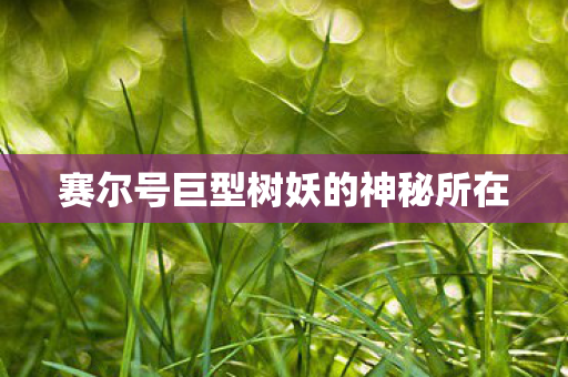 赛尔号巨型树妖的神秘所在图片