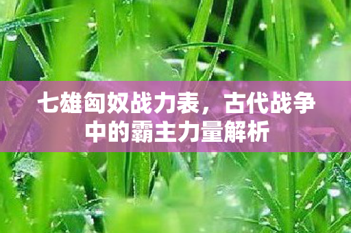 古代战争中的霸主力量解析图片