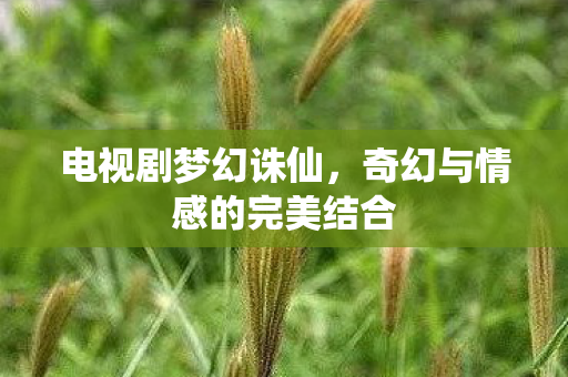 奇幻与情感的完美结合图片