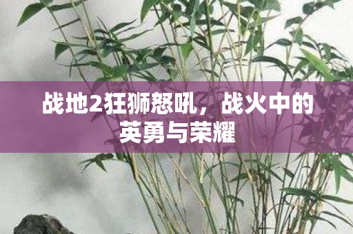 战火中的英勇与荣耀图片