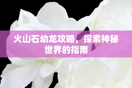 探索神秘世界的指南图片