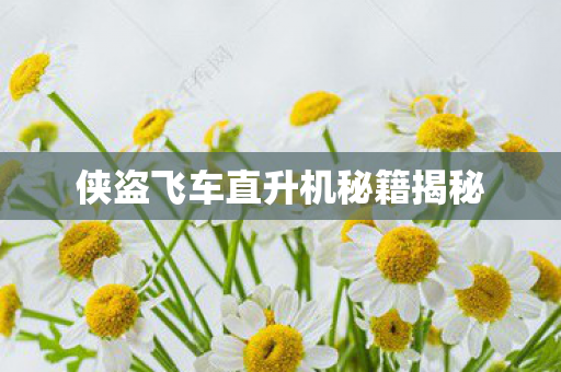 侠盗飞车直升机秘籍揭秘图片