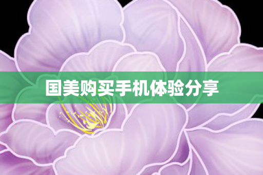 国美购买手机体验分享图片