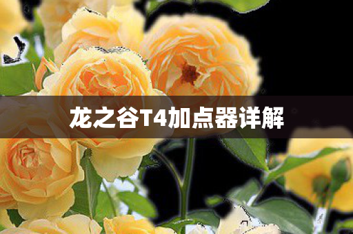 龙之谷T4加点器详解图片