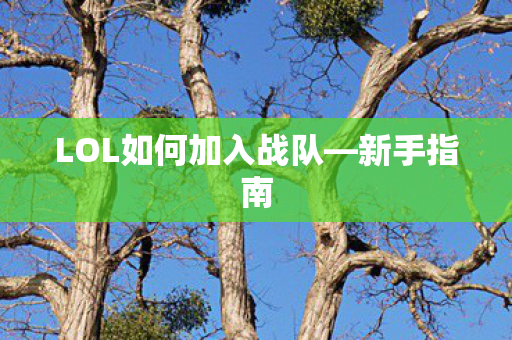 LOL如何加入战队图片