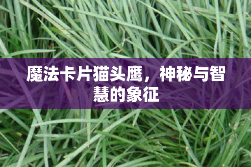 神秘与智慧的象征图片