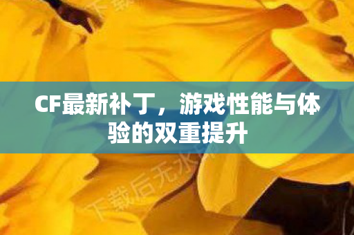 游戏性能与体验的双重提升图片