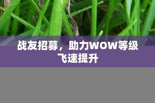 助力WOW等级飞速提升图片