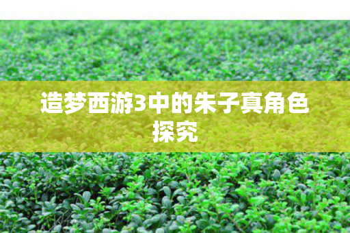 造梦西游3中的朱子真角色探究图片